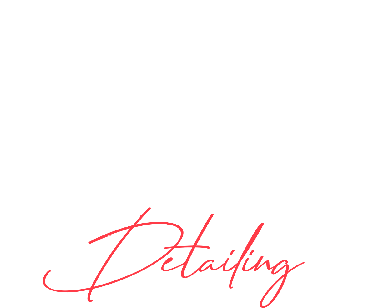 Kedici NANOCAR Detailing